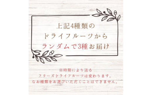 ã¡ã«ã«ãã¬ã°ã¡ã¹ãããªãŒãºãã©ã€ãã«ãŒãã3çš®ã»ãã ïŒ ããªãŒãºãã©ã€ãã«ãŒã ããªãŒãºãã©ã€ ãã«ãŒã æç© ãã ãã® ãã¡ã ã€ããŽ èº æ¿ ãã ã«ã ããã ãªã³ãŽ ææª ããã èªå®¶è£œ ã»ãã è©°ãåãã