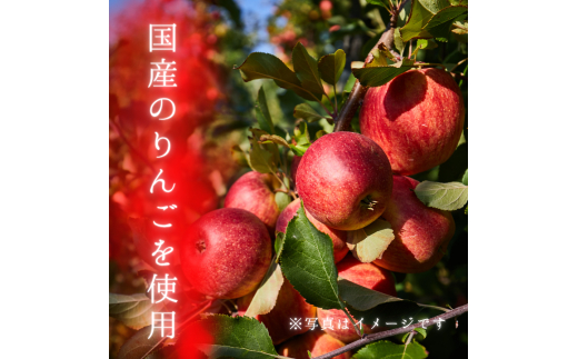 メルカドレグメス　ドライフルーツ　りんご ／ ドライフルーツ フルーツ 果物 くだもの りんご リンゴ 林檎 自家製 3000円