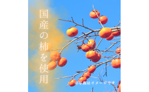 ã¡ã«ã«ãã¬ã°ã¡ã¹ããã©ã€ãã«ãŒããæ¿ ïŒ ãã©ã€ãã«ãŒã ãã«ãŒã æç© ãã ãã® æ¿ ãã ã«ã èªå®¶è£œ 3000å