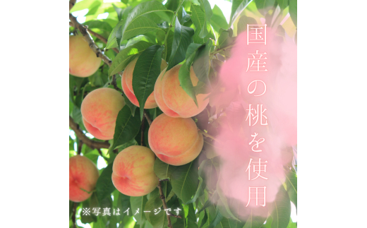 メルカドレグメス　ドライフルーツ　桃 ／ ドライフルーツ フルーツ 果物 くだもの 桃 もも モモ 自家製 3000円