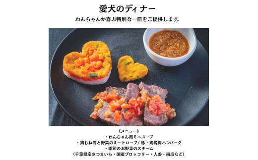 愛犬と癒しの旅　ナガラミリゾートSOSA ご宿泊利用券 6万円分 ／ 宿泊 宿泊券 リゾート ヴィラ ホテル 犬 ペット ドッグラン ドッグマッサージ 温泉 サウナ プール 旅行 リゾート旅