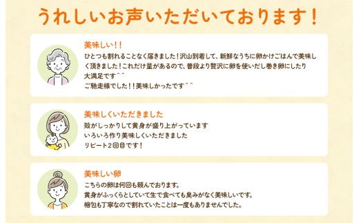【定期便12回】九十九里ファームこだわりたまご贈答用30個～あおい海・みどりの里～《白玉》 ／ たまご 卵 玉子 タマゴ 生卵 卵かけご飯 鶏卵 30個 定期便 12回