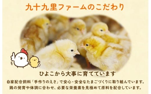 【定期便12回】九十九里ファームこだわりたまご贈答用30個～あおい海・みどりの里～《白玉》 ／ たまご 卵 玉子 タマゴ 生卵 卵かけご飯 鶏卵 30個 定期便 12回