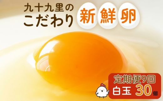 【定期便9回】九十九里ファームこだわりたまご贈答用30個～あおい海・みどりの里～《白玉》 ／ たまご 卵 玉子 タマゴ 生卵 卵かけご飯 鶏卵 30個 定期便 9回