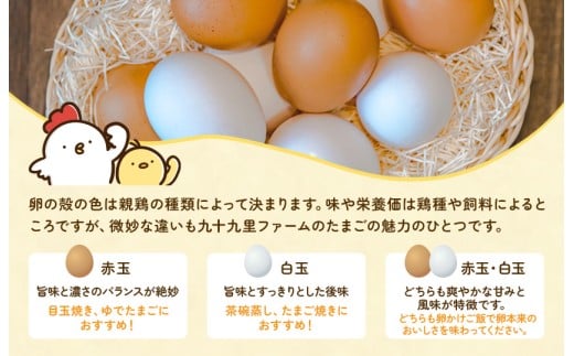 【定期便9回】九十九里ファームこだわりたまご贈答用30個～あおい海・みどりの里～《白玉》 ／ たまご 卵 玉子 タマゴ 生卵 卵かけご飯 鶏卵 30個 定期便 9回