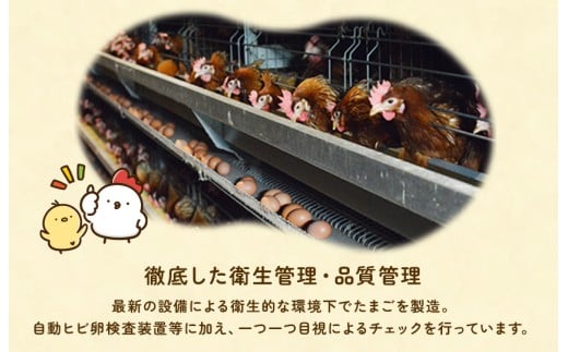 【定期便6回】九十九里ファームこだわりたまご贈答用30個～あおい海・みどりの里～《白玉》 ／ たまご 卵 玉子 タマゴ 生卵 卵かけご飯 鶏卵 30個 定期便 6回