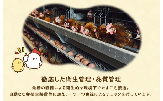 【定期便3回】九十九里ファームこだわりたまご贈答用30個～あおい海・みどりの里～《白玉》 ／ たまご 卵 玉子 タマゴ 生卵 卵かけご飯 鶏卵 30個 定期便 3回