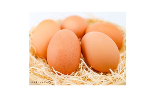 蟆丞キ昴お繝繧ー縺ョ襍、縺溘∪縺猫繧オ繧、繧コ雍育ュ皮畑 160蛟 襍、縺溘∪縺 縺溘∪縺 蜊オ 邇牙ュ 繧ソ繝槭ざ 譁ー魄ョ 譌ィ縺ソ 逕倥∩ 雍育ュ皮畑 雍育ュ 繧ョ繝輔ヨ 雍医j迚ゥ 蜊闡臥恁 蛹晉袖蟶