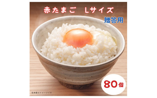 小川エッグの赤たまごLサイズ贈答用 80個 赤たまご たまご 卵 玉子 タマゴ 新鮮 旨み 甘み 贈答用 贈答 ギフト 贈り物 千葉県 匝瑳市