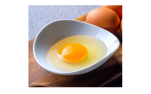 小川エッグの赤たまごLサイズ贈答用 80個 赤たまご たまご 卵 玉子 タマゴ 新鮮 旨み 甘み 贈答用 贈答 ギフト 贈り物 千葉県 匝瑳市