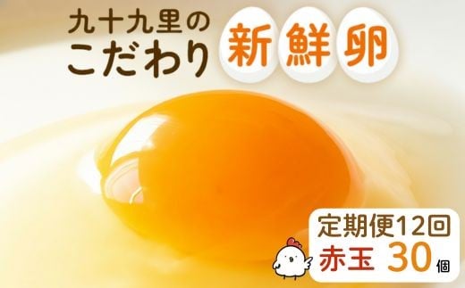 【定期便12回】九十九里ファームこだわりたまご贈答用30個～あおい海・みどりの里～《赤玉》 ／ たまご 卵 玉子 タマゴ 生卵 卵かけご飯 鶏卵 30個 定期便 12回
