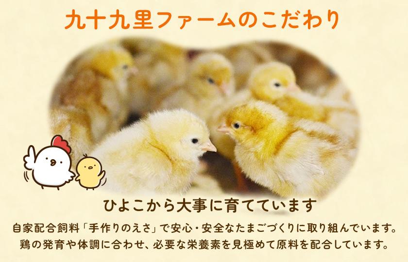 【定期便12回】九十九里ファームこだわりたまご贈答用30個～あおい海・みどりの里～《赤玉》 ／ たまご 卵 玉子 タマゴ 生卵 卵かけご飯 鶏卵 30個 定期便 12回