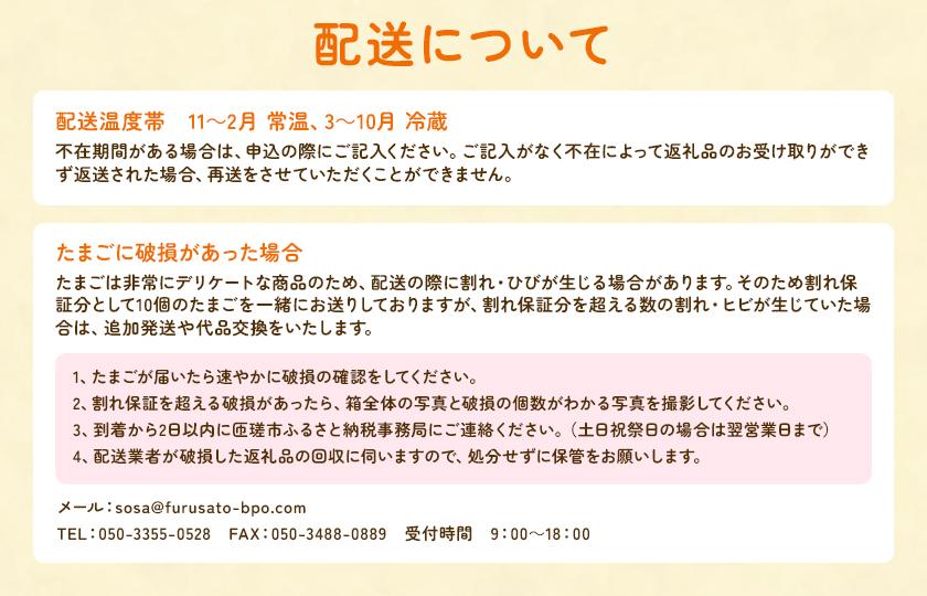 【定期便6回】九十九里ファームこだわりたまご贈答用 30個 ～あおい海・みどりの里～《赤玉》 たまご 卵 玉子 タマゴ 赤玉 卵かけご飯 新鮮 旨み 甘み 贈答用 贈答 ギフト 贈り物 千葉県 匝瑳市