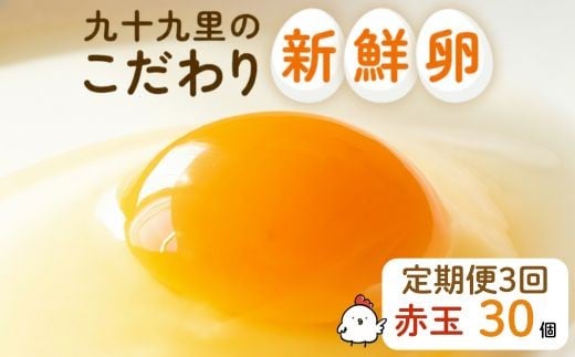 【定期便3回】九十九里ファームこだわりたまご贈答用30個～あおい海・みどりの里～《赤玉》 ／ たまご 卵 玉子 タマゴ 生卵 卵かけご飯 鶏卵 30個 定期便 3回