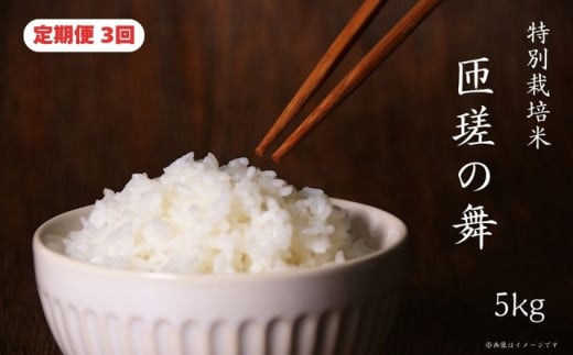【定期便3回】 令和7年産　匝瑳の舞　精米　5kg ／ お米 米 コメ こめ ごはん ふさこがね 白米 精米 5kg チバエコ 特別栽培 新米 千葉県 匝瑳市