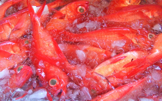 金目鯛の姿煮【小】（約500g） ／ 銚子つりきんめ 銚金 金目鯛 キンメダイ 魚 煮付 贈答 贈り物 千葉県 匝瑳市