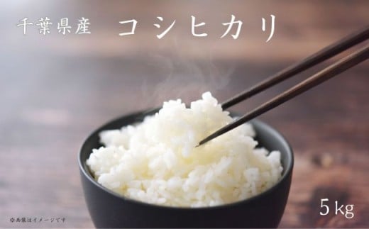 縲 莉、蜥7蟷エ逕」 縲狗アウ 繧ウ繧キ繝偵き繝ェ 5kg シ 邀ウ 縺薙a 繧ウ繝。 縺顔アウ 縺翫%繧 繧ウ繧キ繝偵き繝ェ 縺薙@縺イ縺九j 莉、蜥7蟷エ 譁ー邀ウ 逋ス邀ウ 邊セ邀ウ 縺斐ッ繧 5kg 騾∵侭辟。譁