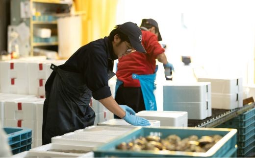 荵晏香荵晞梧オ懃肇縲豢サ蝨ー縺ッ縺セ縺舌j邏5kg