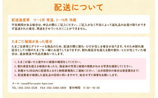 九十九里ファームこだわりたまご９０個～あおい海・みどりの里～《赤玉》 ／ たまご 卵 玉子 タマゴ 生卵 卵かけご飯 鶏卵 90個