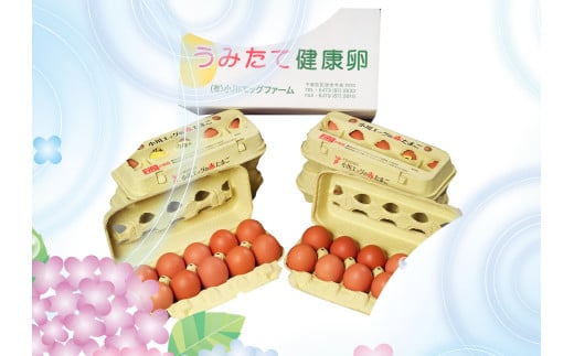 小川エッグの赤たまごLサイズ贈答用 60個 赤たまご たまご 卵 玉子 タマゴ 新鮮 旨み 甘み 贈答用 贈答 ギフト 贈り物 千葉県 匝瑳市