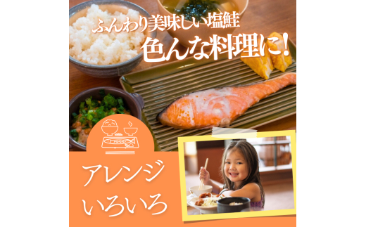 本格銀鮭甘塩切身セット 8切 640g 鮭 切り身 個包装 冷凍 さけ サケ しゃけ 銀鮭 千葉県 匝瑳市