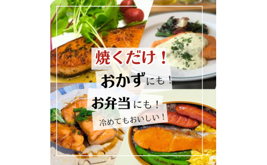 本格銀鮭甘塩切身セット 8切 640g 鮭 切り身 個包装 冷凍 さけ サケ しゃけ 銀鮭 千葉県 匝瑳市
