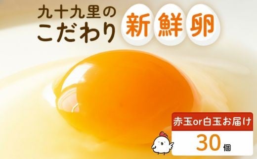 《訳あり》九十九里ファームこだわりたまご 30個～あおい海・みどりの里～（赤玉or白玉） ／ たまご 卵 玉子 タマゴ 30個 卵かけご飯 新鮮 旨み 甘み 贈答用 贈答 ギフト 贈り物 訳あり 訳アリ 千葉県 匝瑳市 送料無料 期間限定