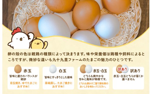 《訳あり》九十九里ファームこだわりたまご 30個～あおい海・みどりの里～（赤玉or白玉） ／ たまご 卵 玉子 タマゴ 赤玉 白玉 30個 卵かけご飯 新鮮 旨み 甘み 贈答用 贈答 ギフト 贈り物 訳あり 訳アリ 千葉県 匝瑳市 送料無料