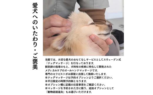 愛犬と癒しの旅　ナガラミリゾートSOSA ご宿泊利用券 12万円分 ／ 宿泊 宿泊券 リゾート ヴィラ ホテル 犬 ペット ドッグラン ドッグマッサージ 温泉 サウナ プール 旅行 リゾート旅