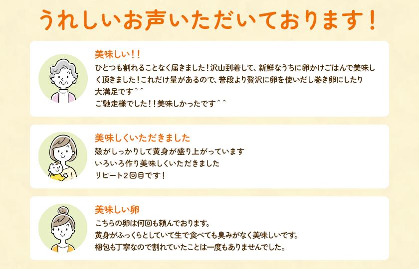 【定期便5回】九十九里ファームこだわりたまご贈答用 30個 ～あおい海・みどりの里～《赤玉》 たまご 卵 玉子 タマゴ 赤玉 卵かけご飯 新鮮 旨み 甘み 贈答用 贈答 ギフト 贈り物 千葉県 匝瑳市