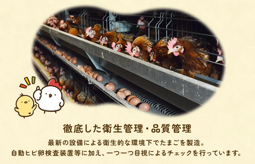 【定期便7回】九十九里ファームこだわりたまご贈答用 30個 ～あおい海・みどりの里～《赤玉》 たまご 卵 玉子 タマゴ 赤玉 卵かけご飯 新鮮 旨み 甘み 贈答用 贈答 ギフト 贈り物 千葉県 匝瑳市