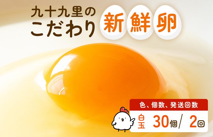 【定期便2回】九十九里ファームこだわりたまご贈答用 30個 ～あおい海・みどりの里～《白玉》 たまご 卵 玉子 タマゴ 白玉 卵かけご飯 新鮮 旨み 甘み 贈答用 贈答 ギフト 贈り物 千葉県 匝瑳市