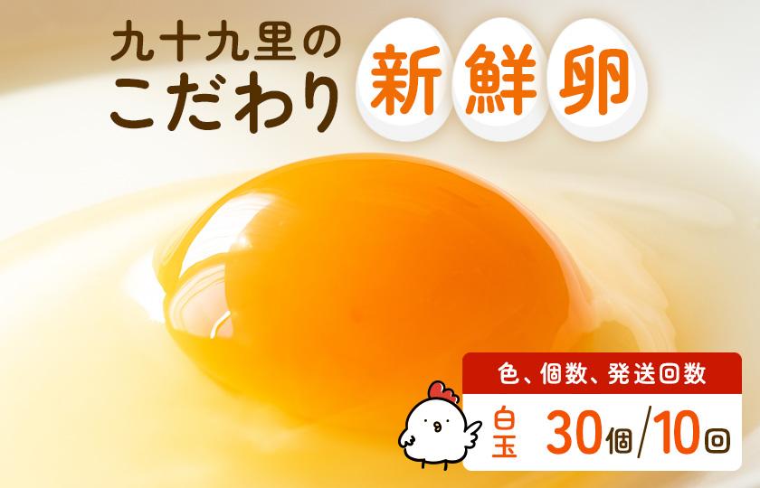【定期便10回】九十九里ファームこだわりたまご贈答用 30個 ～あおい海・みどりの里～《白玉》 たまご 卵 玉子 タマゴ 白玉 卵かけご飯 新鮮 旨み 甘み 贈答用 贈答 ギフト 贈り物 千葉県 匝瑳市