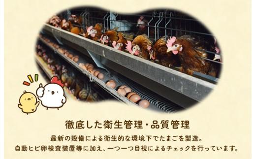 荵晏香荵晞後ヵ繧。繝シ繝縺薙□繧上j縺溘∪縺碑エ育ュ皮畑 40蛟 ス槭≠縺翫>豬キ繝サ縺ソ縺ゥ繧翫ョ驥鯉ス槭願オ、邇峨 縺溘∪縺 蜊オ 邇牙ュ 繧ソ繝槭ざ 襍、邇 蜊オ縺九¢縺秘」ッ 譁ー魄ョ 譌ィ縺ソ 逕倥∩ 雍育ュ皮畑 雍育ュ 繧ョ繝輔ヨ 雍医j迚ゥ 蜊闡臥恁 蛹晉袖蟶