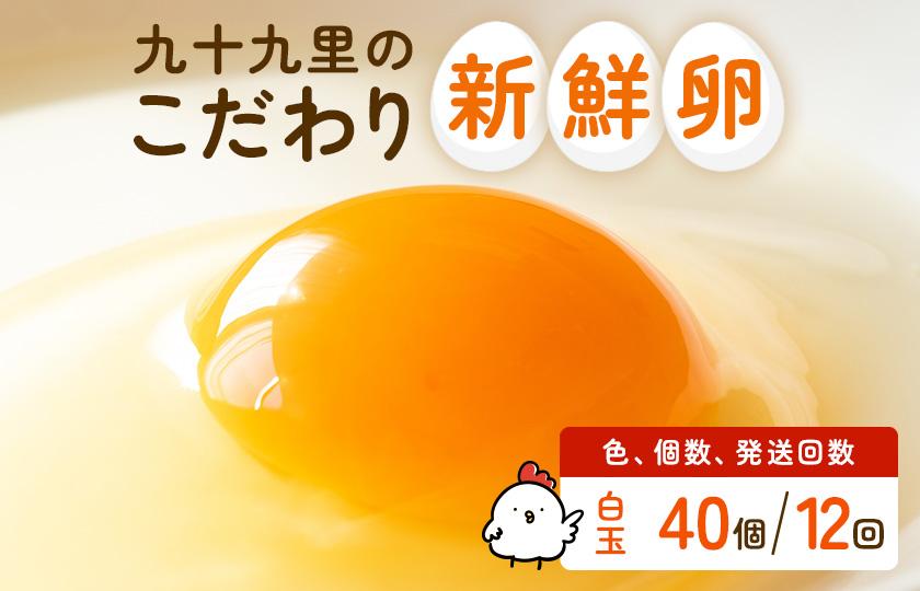 ãå®æäŸ¿12åãä¹åä¹éãã¡ãŒã ãã ããããŸãèŽççš 40å ïœãããæµ·ã»ã¿ã©ãã®éïœãçœçã ããŸã åµ çå ã¿ã㎠çœç åµããã飯 æ°é®® æšã¿ çã¿ èŽççš èŽç ã®ãã èŽãç© åèç åç³åž