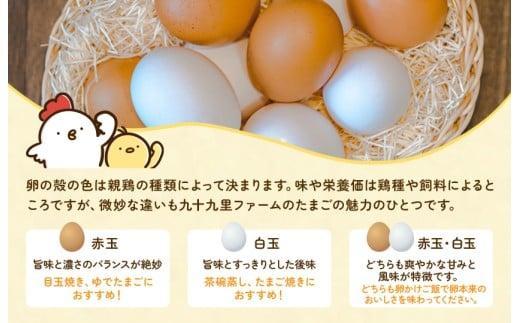 九十九里ファームこだわりたまご贈答用 60個 ～あおい海・みどりの里～《赤玉》 たまご 卵 玉子 タマゴ 赤玉 卵かけご飯 新鮮 旨み 甘み 贈答用 贈答 ギフト 贈り物 千葉県 匝瑳市