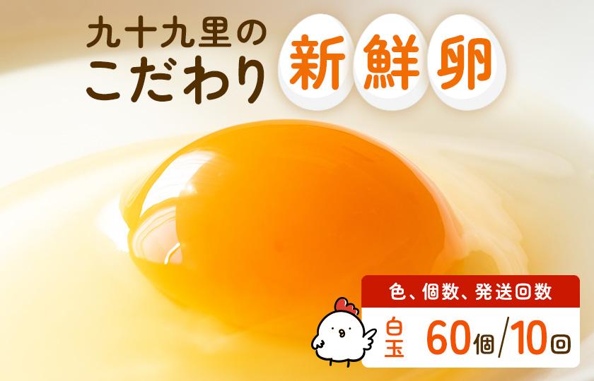 【定期便10回】九十九里ファームこだわりたまご贈答用 60個 ～あおい海・みどりの里～《白玉》 たまご 卵 玉子 タマゴ 白玉 卵かけご飯 新鮮 旨み 甘み 贈答用 贈答 ギフト 贈り物 千葉県 匝瑳市