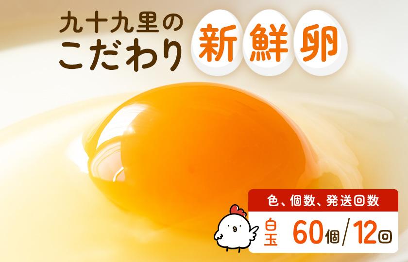 【定期便12回】九十九里ファームこだわりたまご贈答用 60個 ～あおい海・みどりの里～《白玉》 たまご 卵 玉子 タマゴ 白玉 卵かけご飯 新鮮 旨み 甘み 贈答用 贈答 ギフト 贈り物 千葉県 匝瑳市