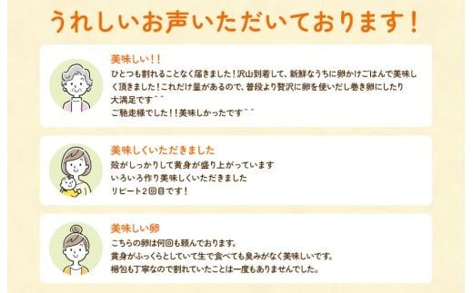 【定期便2回】九十九里ファームこだわりたまご贈答用 90個 ～あおい海・みどりの里～《赤玉》 たまご 卵 玉子 タマゴ 赤玉 卵かけご飯 新鮮 旨み 甘み 贈答用 贈答 ギフト 贈り物 千葉県 匝瑳市