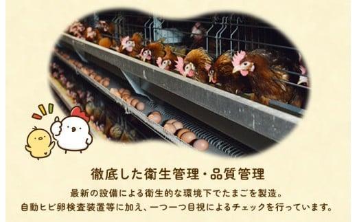 【定期便5回】九十九里ファームこだわりたまご贈答用 90個 ～あおい海・みどりの里～《赤玉》 たまご 卵 玉子 タマゴ 赤玉 卵かけご飯 新鮮 旨み 甘み 贈答用 贈答 ギフト 贈り物 千葉県 匝瑳市