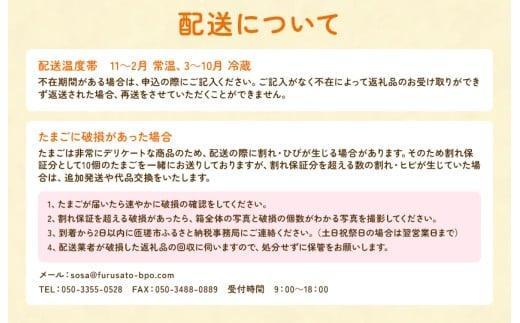 【定期便6回】九十九里ファームこだわりたまご贈答用 90個 ～あおい海・みどりの里～《赤玉》 たまご 卵 玉子 タマゴ 赤玉 卵かけご飯 新鮮 旨み 甘み 贈答用 贈答 ギフト 贈り物 千葉県 匝瑳市