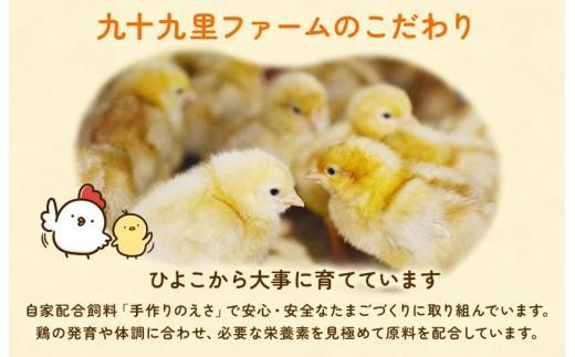 【定期便6回】九十九里ファームこだわりたまご贈答用 90個 ～あおい海・みどりの里～《赤玉》 たまご 卵 玉子 タマゴ 赤玉 卵かけご飯 新鮮 旨み 甘み 贈答用 贈答 ギフト 贈り物 千葉県 匝瑳市