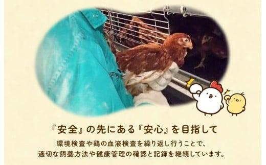 【定期便7回】九十九里ファームこだわりたまご贈答用 90個 ～あおい海・みどりの里～《赤玉》 たまご 卵 玉子 タマゴ 赤玉 卵かけご飯 新鮮 旨み 甘み 贈答用 贈答 ギフト 贈り物 千葉県 匝瑳市