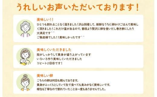 【定期便7回】九十九里ファームこだわりたまご贈答用 90個 ～あおい海・みどりの里～《赤玉》 たまご 卵 玉子 タマゴ 赤玉 卵かけご飯 新鮮 旨み 甘み 贈答用 贈答 ギフト 贈り物 千葉県 匝瑳市