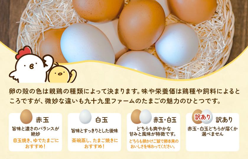 【定期便9回】九十九里ファームこだわりたまご贈答用 90個 ～あおい海・みどりの里～《赤玉》 たまご 卵 玉子 タマゴ 赤玉 卵かけご飯 新鮮 旨み 甘み 贈答用 贈答 ギフト 贈り物 千葉県 匝瑳市