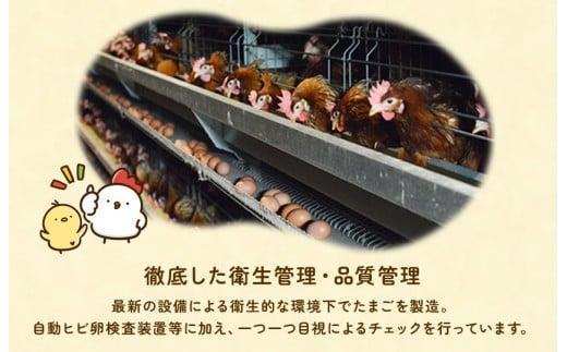 【定期便12回】九十九里ファームこだわりたまご贈答用 90個 ～あおい海・みどりの里～《赤玉》 たまご 卵 玉子 タマゴ 赤玉 卵かけご飯 新鮮 旨み 甘み 贈答用 贈答 ギフト 贈り物 千葉県 匝瑳市