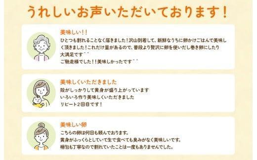 【定期便12回】九十九里ファームこだわりたまご贈答用 90個 ～あおい海・みどりの里～《赤玉》 たまご 卵 玉子 タマゴ 赤玉 卵かけご飯 新鮮 旨み 甘み 贈答用 贈答 ギフト 贈り物 千葉県 匝瑳市