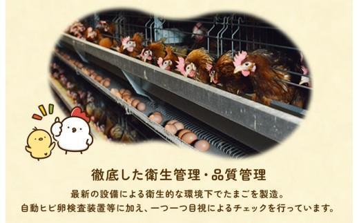 荵晏香荵晞後ヵ繧。繝シ繝縺薙□繧上j縺溘∪縺碑エ育ュ皮畑 180蛟 ス槭≠縺翫>豬キ繝サ縺ソ縺ゥ繧翫ョ驥鯉ス槭願オ、邇峨 縺溘∪縺 蜊オ 邇牙ュ 繧ソ繝槭ざ 襍、邇 蜊オ縺九¢縺秘」ッ 譁ー魄ョ 譌ィ縺ソ 逕倥∩ 雍育ュ皮畑 雍育ュ 繧ョ繝輔ヨ 雍医j迚ゥ 蜊闡臥恁 蛹晉袖蟶