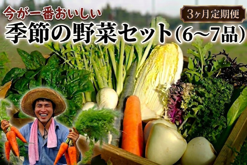 【定期便3回】季節の野菜セット（6～7品）