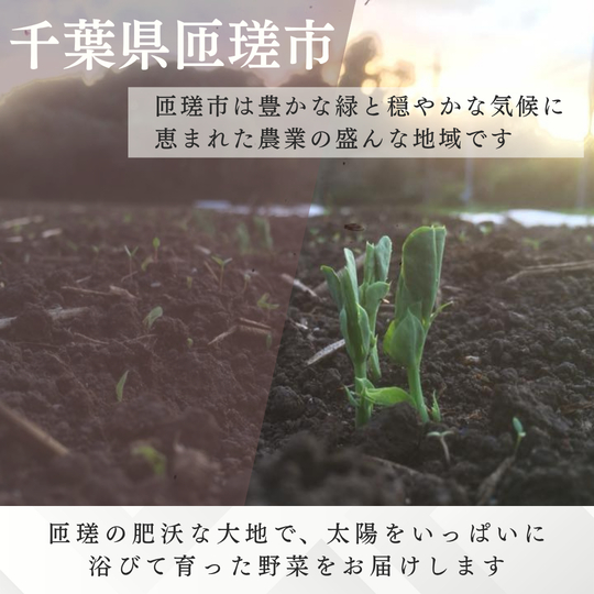 縲仙ョ壽悄萓ソ3蝗槭大ュ」遽縺ョ驥手除繧サ繝繝茨シ6ス7蜩シ